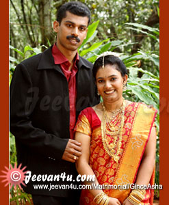 Gince Asha Wedding Pictures Palai Kerala